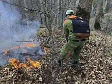 Пожарные локализовали возгорание в лесу в Туапсинском округе