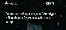 Синоптик сообщил, когда в Петербурге и Ленобласти будет мокрый снег и ветер