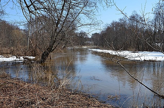 Качество воды повысится в нижегородских реках Имза и Княгинка