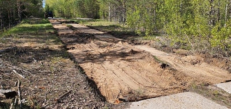 В Костромской области «украли» сельскую дорогу