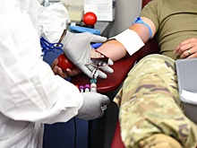 Врачи-трансфузиологи: «в Удмуртии нет дефицита донорской крови»