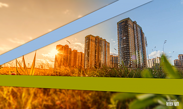 Защита при банкротстве: риски инвесторов и покупателей аппартаментов