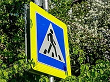 В Омске выросло количество ДТП с детьми