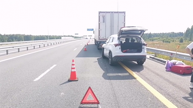 Младенец пострадал в ДТП на М-12 под Арзамасом из-за уснувшего водителя
