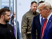 Зеленского предупредили о риске стать объектом ненависти Трампа