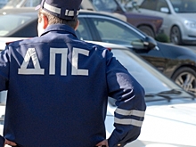 В Воронежскую область из-за страха птичьего гриппа не пустили 2 тысячи утят