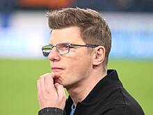 Аршавин объяснил вред Fan ID для клубов