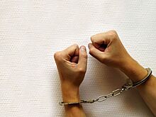 В Подмосковье арестован администратор детского рехаба за пытки и незаконное удержание детей