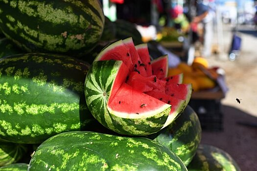 В Роскачестве рассказали, как выбрать хороший арбуз