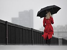 Москвичей предупредили о резком переходе в «глубокую осень»