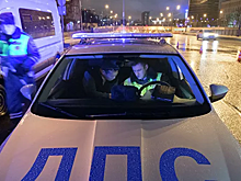 Пьяных рецидивистов заставят лечиться