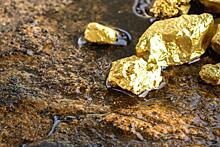 В Приморье из золотодобытчиков выбивают огромные долги