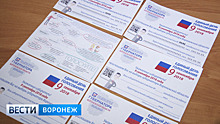 В Воронежской области члены избирательных комиссий начали поквартирный обход