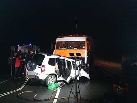 В Тверской области на трассе "Нива" врезалась в грузовик