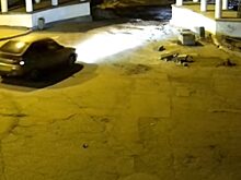 Полицейские нашли вандала, раскрошившего плитку в ливенском парке