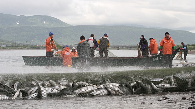 Дальневосточный рыбохозяйственный комплекс получит 14 млрд рублей