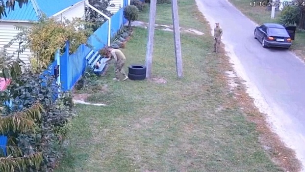 На Украине военкомы вернули хозяевам «мобилизованного» кота