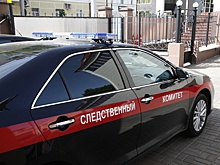 Против участников банды "теневого короля" Сочи Татуляна завершено следствие