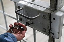В Госдуме оценили идею искать IT-специалистов в тюрьмах