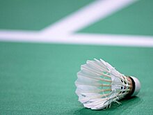 Созонов и Иванов обыграли чемпионов РФ по бадминтону в финале