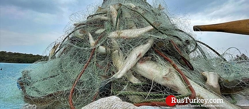 В минувшем году из Турции было экспортировано почти 800 тыс. тонн морепродуктов,