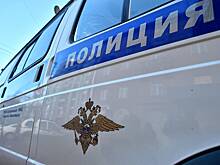 Москвичка обнаружила на дачном участке обглоданного животными пенсионера