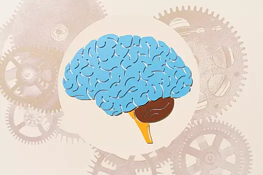 Изменение распорядка дня улучшит вашу память