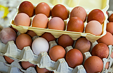 Получится ли сдержать цены на курицу и яйца?