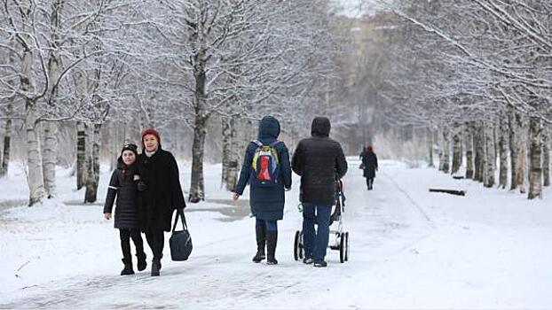 MediaGuber СЗФО: Ведерникова просят заняться медициной, а Цыбульского – привести Архангельск в порядок