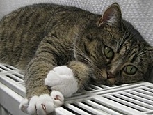 В Пущино начался отопительный сезон