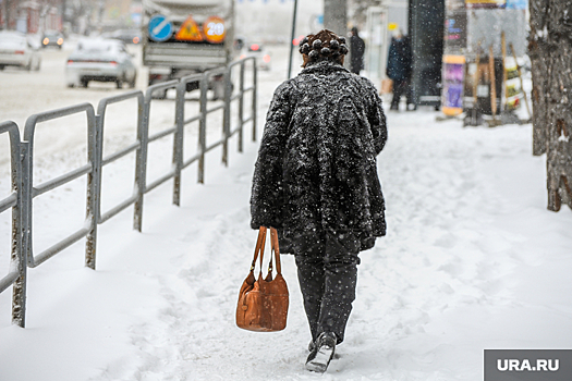 В Челябинске за выходные дни выпало 50% месячной нормы снега