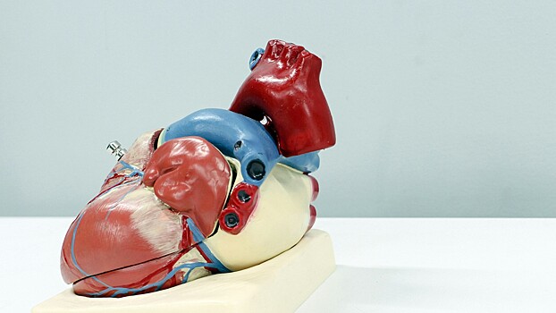 Создано приложение для диагностики болезней сердца