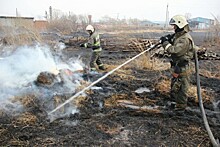 Лесные пожары начнут тушить по плану МЧС