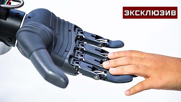 Эксперт оценил возможность полной замены министров ИИ