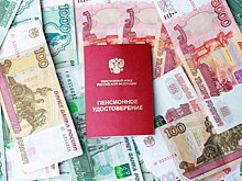 Россиянам объяснили, как самостоятельно рассчитать точный размер пенсии