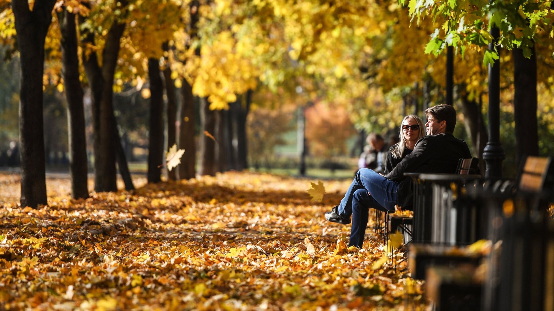 Синоптик Тишковец заявил о начале метеорологической осени