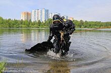 Водолазы очистят все парковые озера Нижнего Новгорода к 1 июня