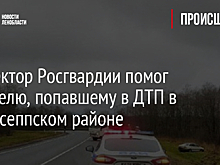 Инспектор Росгвардии помог водителю, попавшему в ДТП в Кингисеппском районе