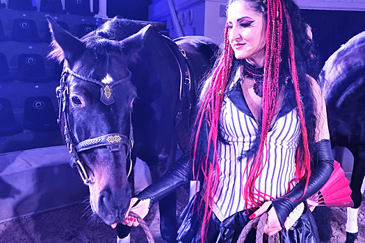 На ВДНХ состоялась премьера новогоднего спектакля с артистами-лошадьми «Конек-Огонек»