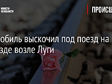 Автомобиль выскочил под поезд на переезде возле Луги