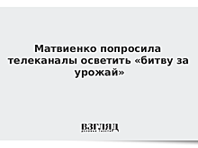 Матвиенко попросит руководителей телеканалов осветить уборку урожая