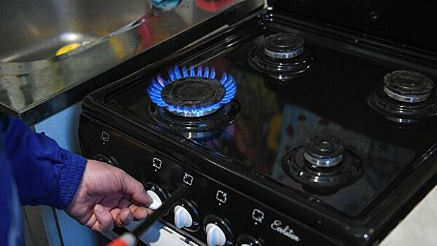 Хованская: газовые плиты в домах должны быть с автоматическим отключением