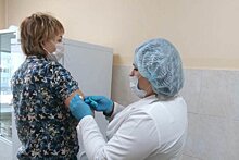 В районах Карелии начали работать первые мобильные прививочные бригады