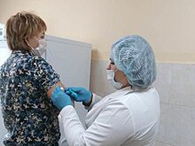 В районах Карелии начали работать первые мобильные прививочные бригады