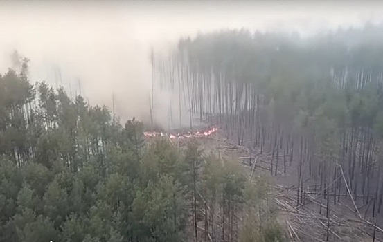 Спутники показали распространение лесных пожаров в Чернобыле