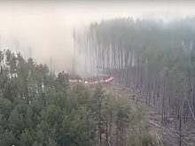 Спутники показали распространение лесных пожаров в Чернобыле