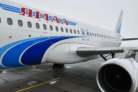 Авиакомпания «Ямал» разрешила перевозку животных на отдельных пассажирских местах