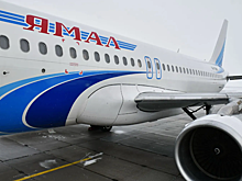 Авиакомпания «Ямал» разрешила перевозку животных на отдельных пассажирских местах