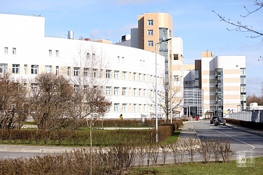 ОНФ передал в больницу Боткина в Петербурге два аппарата для реанимации