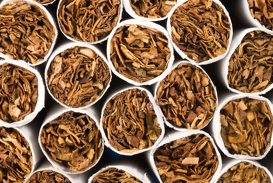 Табачный завод Philip Morris, Нидерланды, Европа